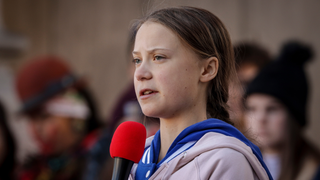 Please Meet Greta Thunberg the Beetle, Not to Be Confused With Greta Thunberg the Person